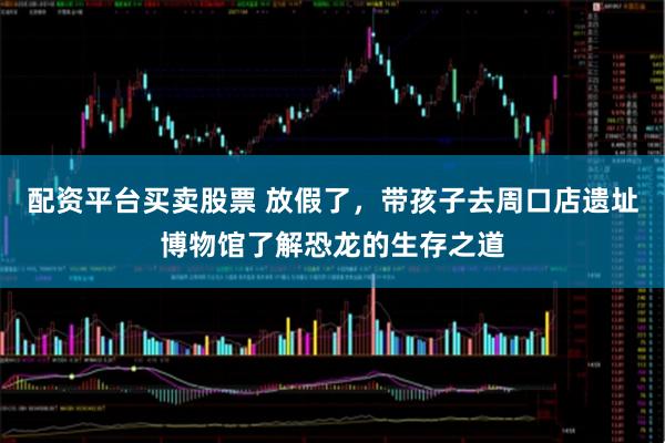 配资平台买卖股票 放假了，带孩子去周口店遗址博物馆了解恐龙的生存之道